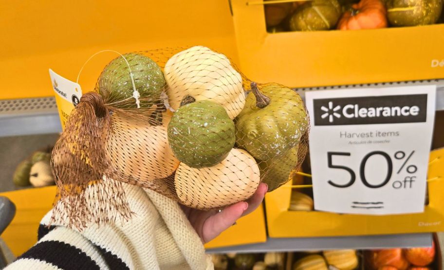 a womans hand holding a bag of foam mini pumpkins