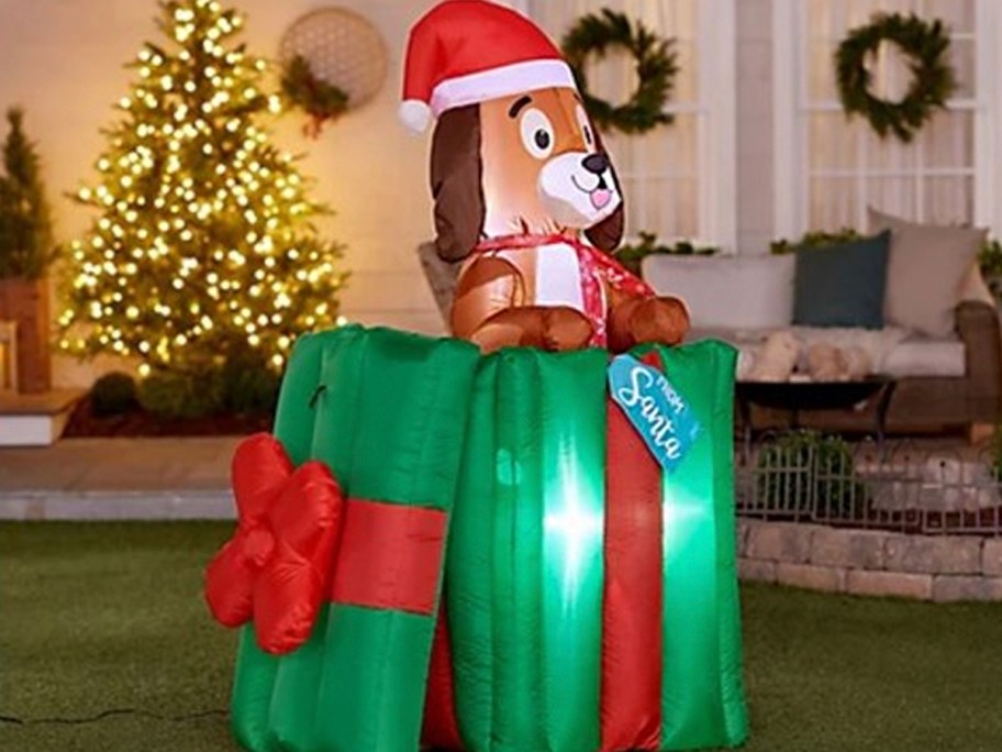 dog popping out of green christmas box 