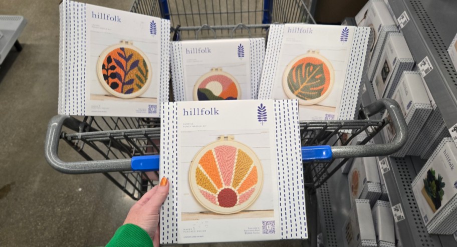 craft sets displayed insiede of walmart cart