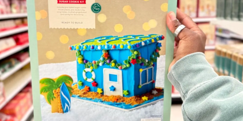 Gingerbread House Kits at Target – Most $12 or Less!