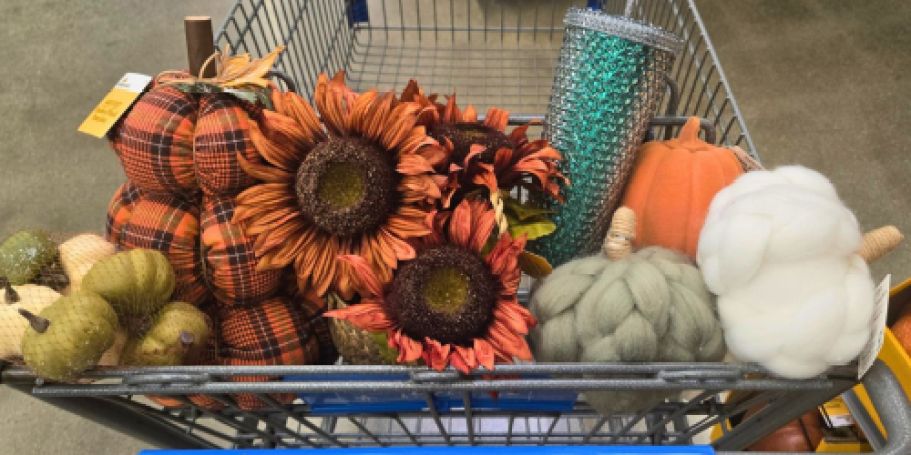 Up to 50% Off Walmart Halloween Clearance – See What We Spotted!