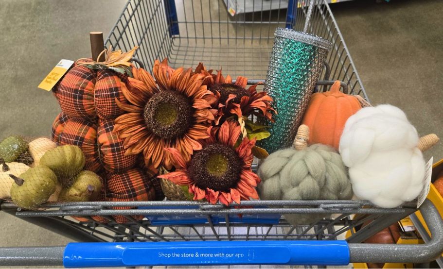 Up to 50% Off Walmart Halloween Clearance – See What We Spotted!