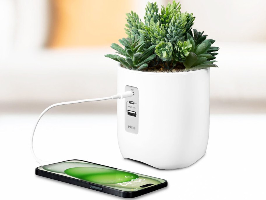 charging tower shaped like a succulent in a pot