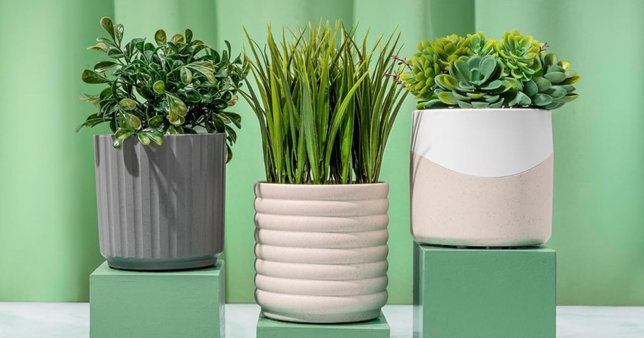 three plant diffusers sitting on a table 