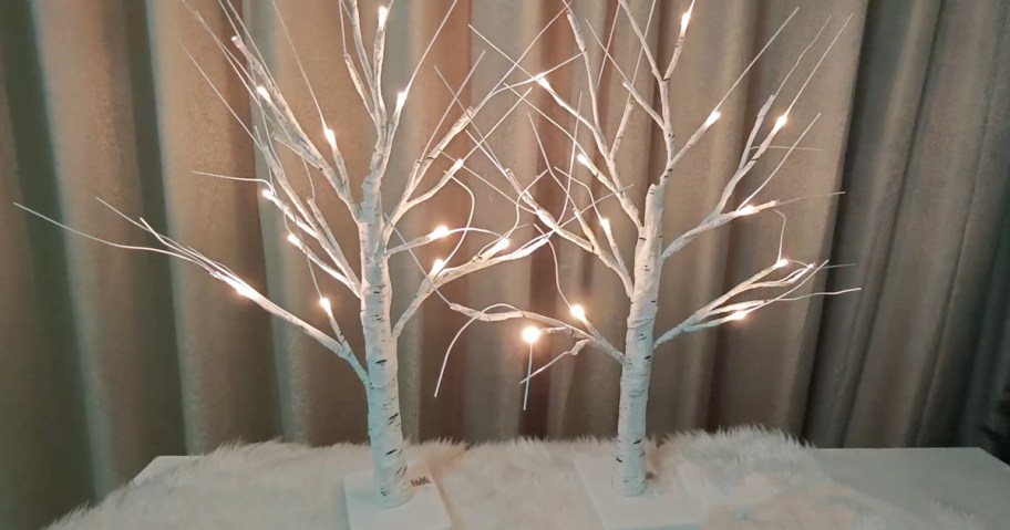 two birch tress with lights sitting on a table