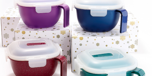 Lock n Lock Food Storage with Holiday Bags 4-Piece Set Just $19.98 Shipped