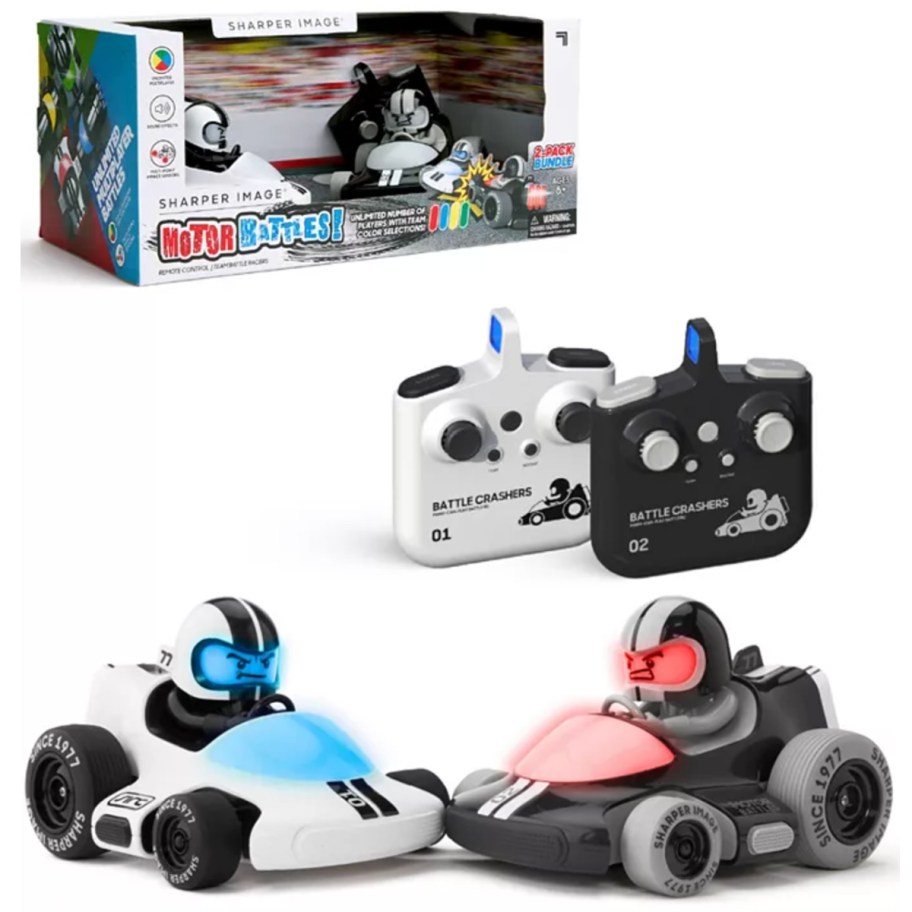 two mini remote control cars