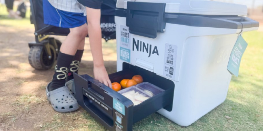 Ninja Cooler from $162.94 Shipped (Reg. $200) | Built-In Dry Zone Drawer