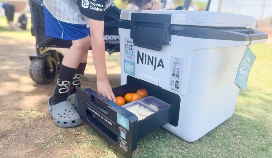Ninja Cooler from $162.94 Shipped (Reg. $200) | Built-In Dry Zone Drawer
