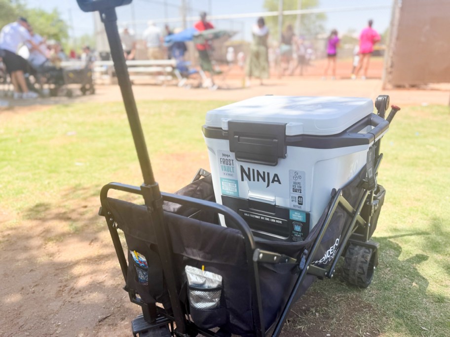 ninja cooler inside of a wagon on a soccer field