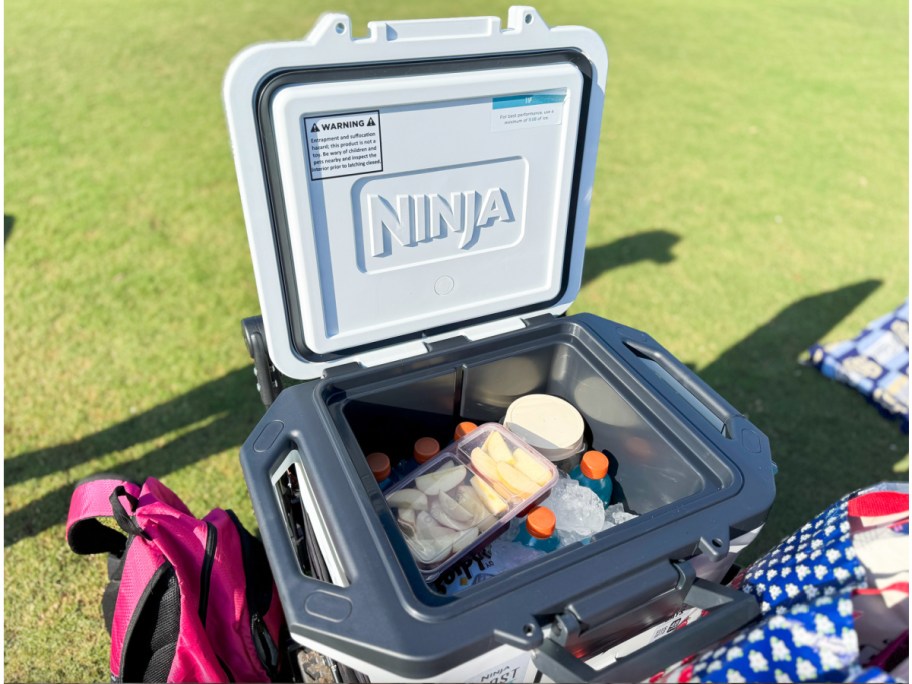 ninja cooler opened on the grass showing the items inside