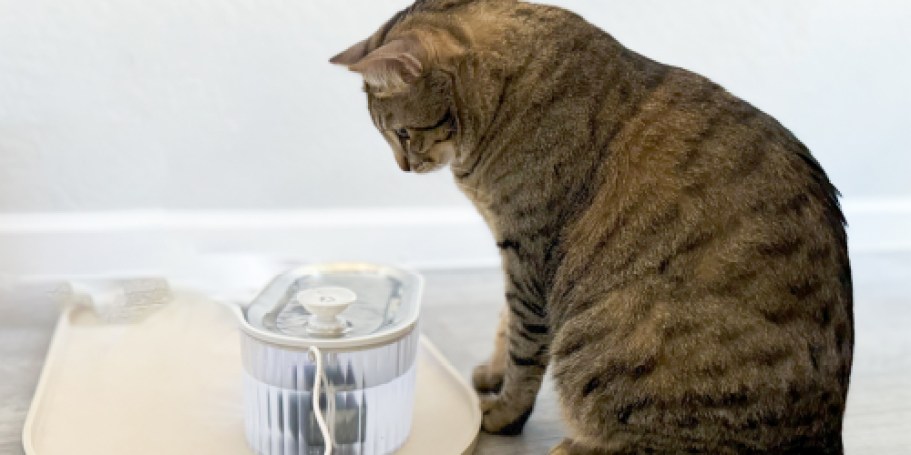 Cat Water Fountain Only $15.99 on Amazon (Removes 99.9% of Impurities)