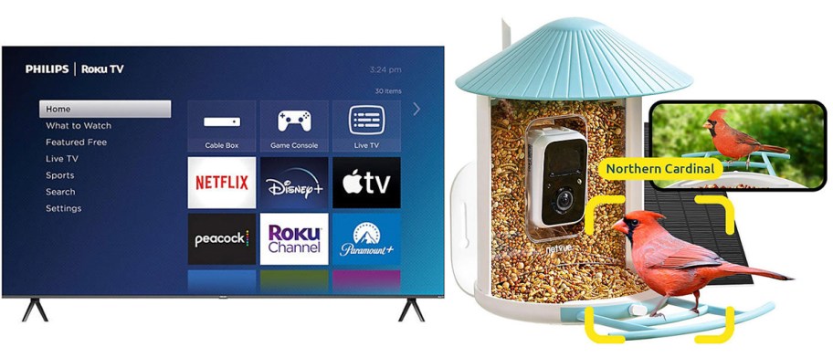 philips tv and birdfy smart feeder 