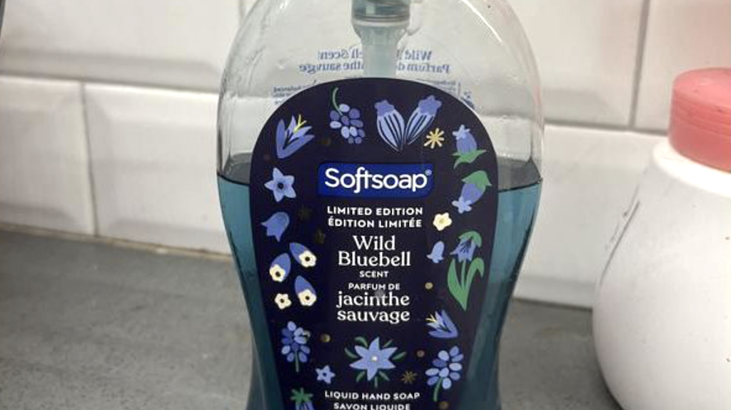 Softsoap Hand Soaps Just $1.74 Each After Cash Back!