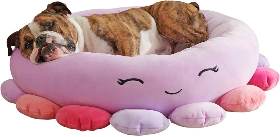 purple squishmallows octopus with dog laying in it 