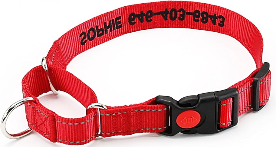 red dog collar 