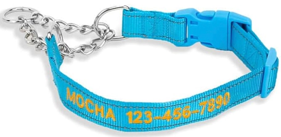 light blue dog collar 