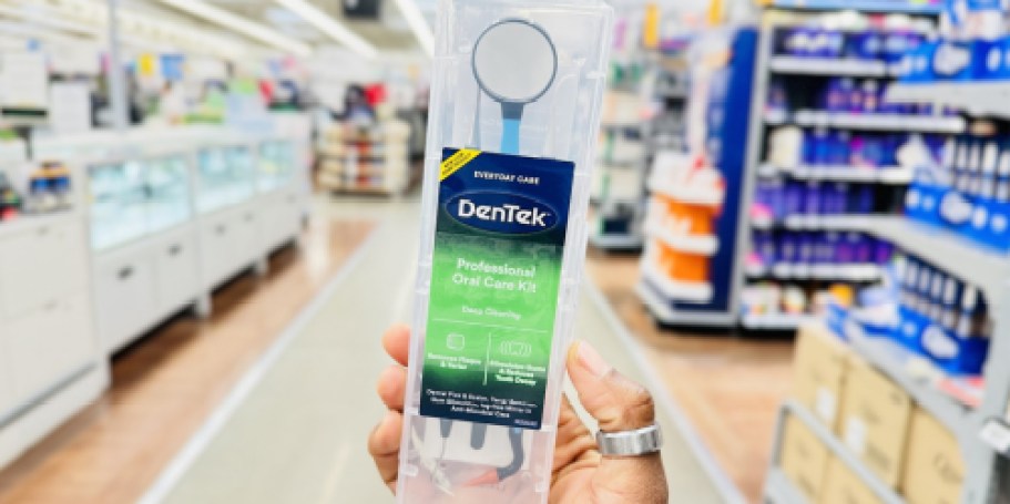 DenTek Professional Oral Care Kit Just $4 Shipped on Amazon