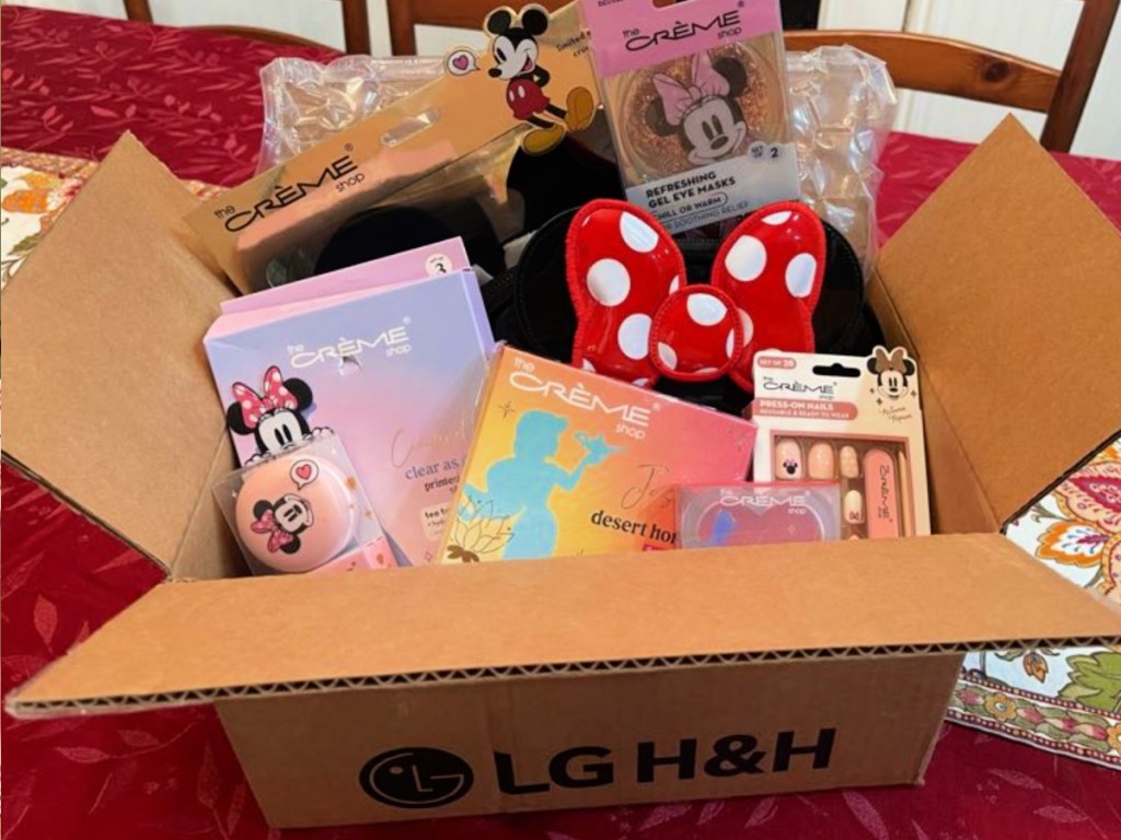 large box of Disney Minnie Mouse Pouch and Beauty Freebies