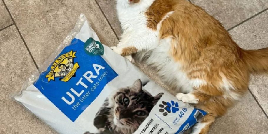 It’s Back! Dr. Elsey’s 40-Pound Cat Litter Only $11.87 Shipped on Amazon (Regularly $24)