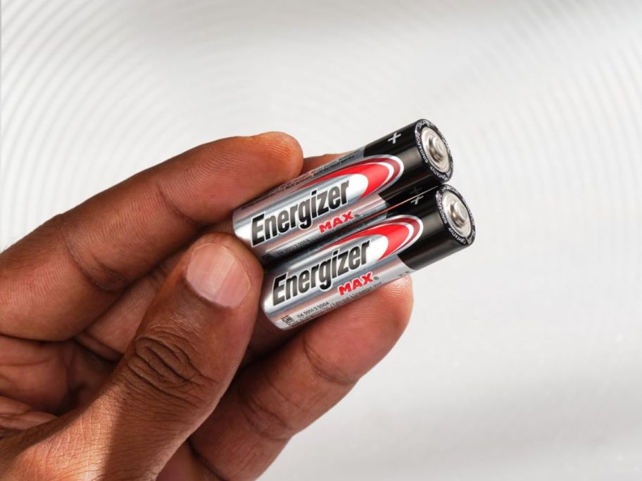 hand holding two Energizer Max AA Batteries