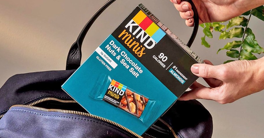 KIND Mini Bars Box Only $2.92 Shipped on Amazon (Regularly $6)