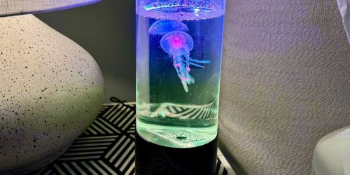 *HOT* Jellyfish Lamp Only $10 on Walmart.online (FUN Gift Idea!)