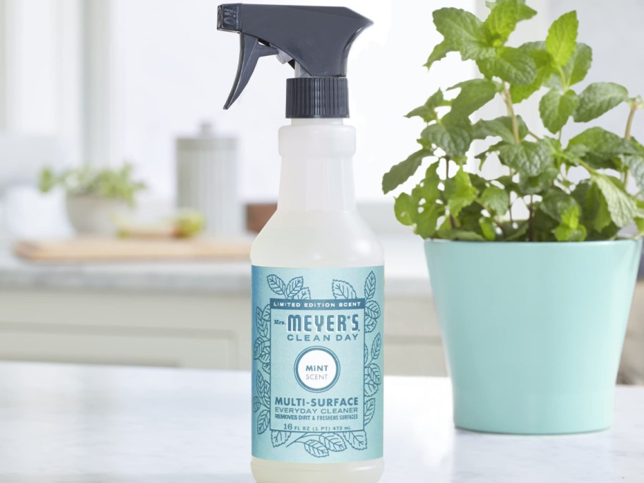 Mrs.-Meyers-All-Purpose-mint-spray