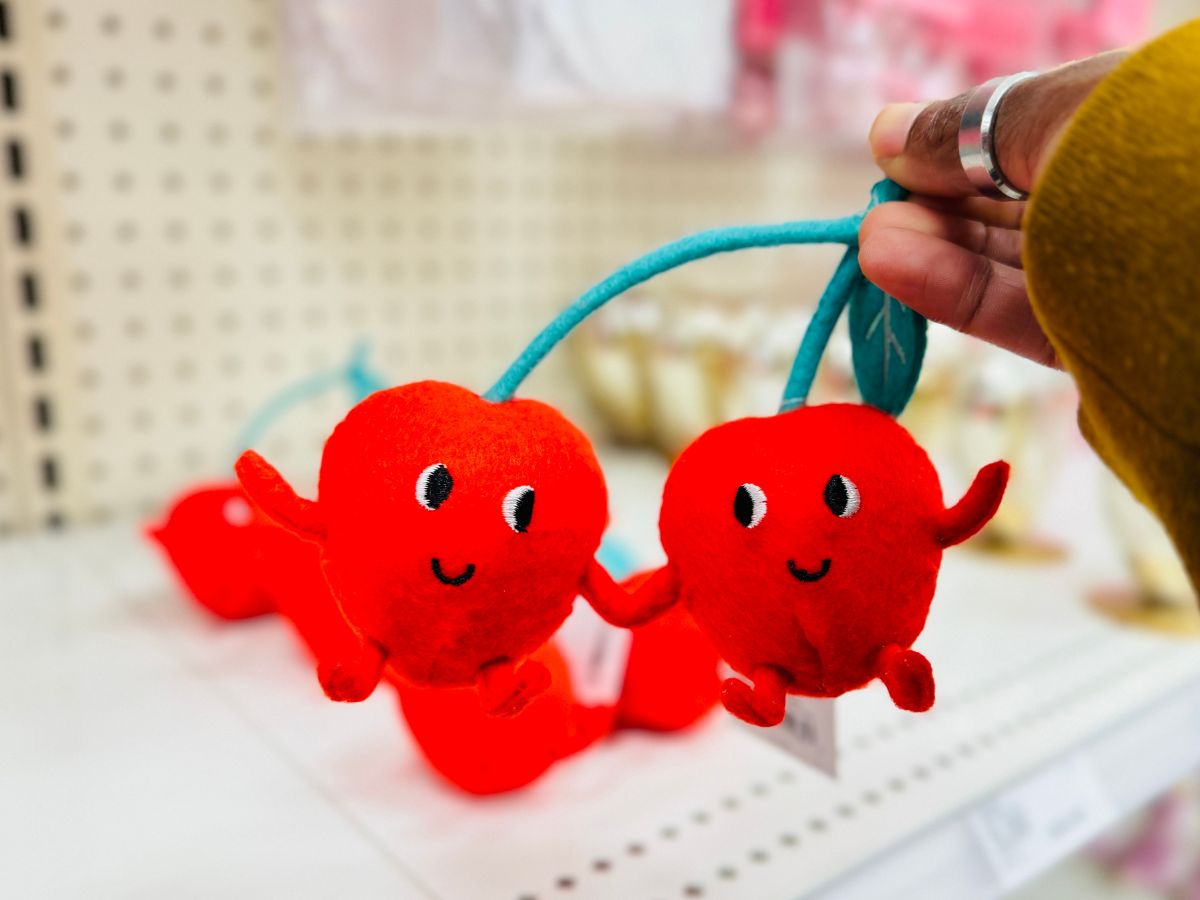 The Cutest Valentine’s Day Felt Duos Are Only $5 at Target