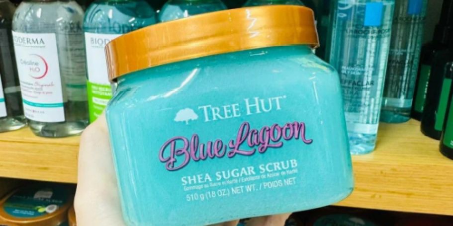 Tree Hut Sugar Scrubs & Lotions Only $5 on Ulta.online (Regularly $12)