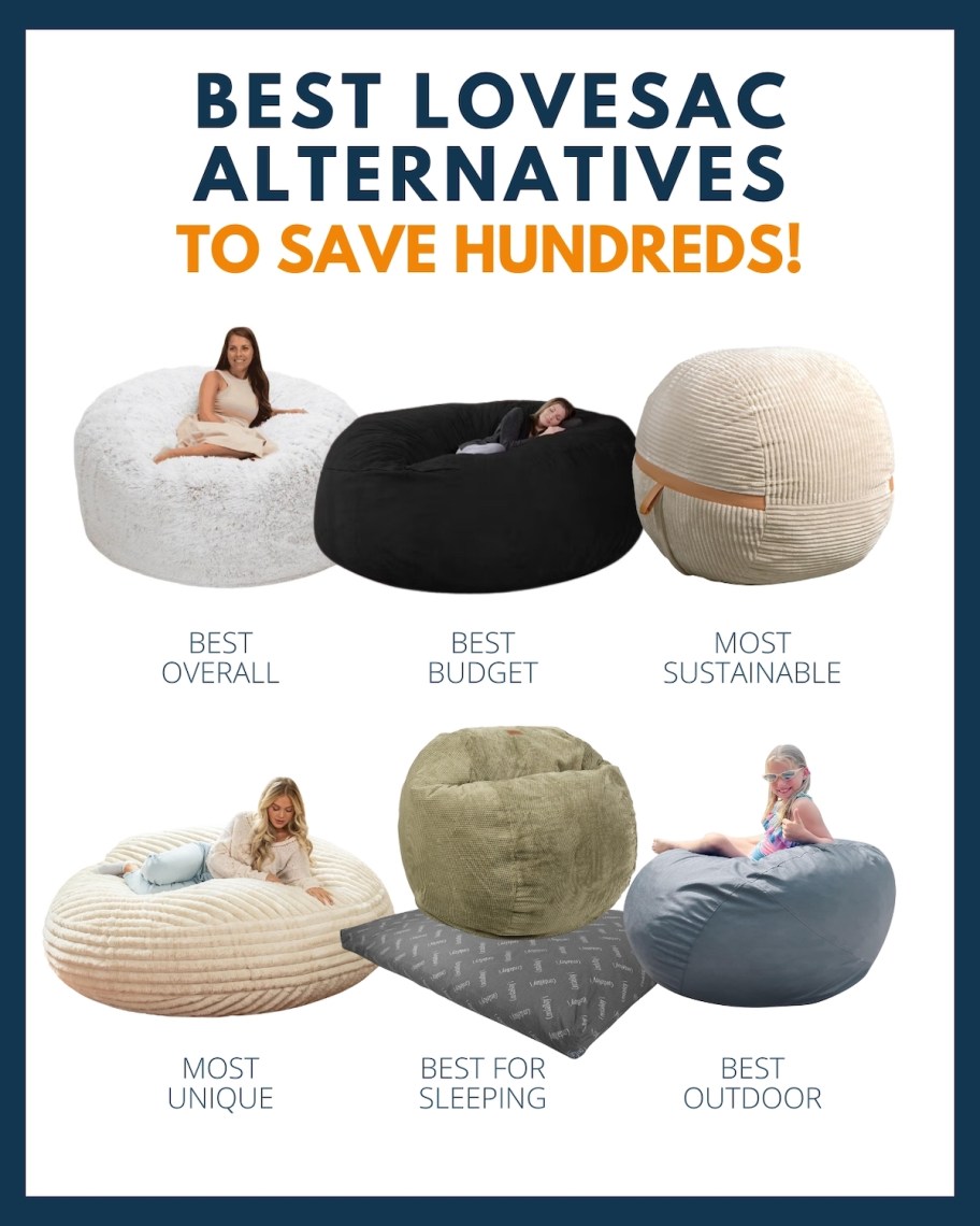 best lovesac alternatives to save hundreds graphic with 6 different kinds of bean bags with labels