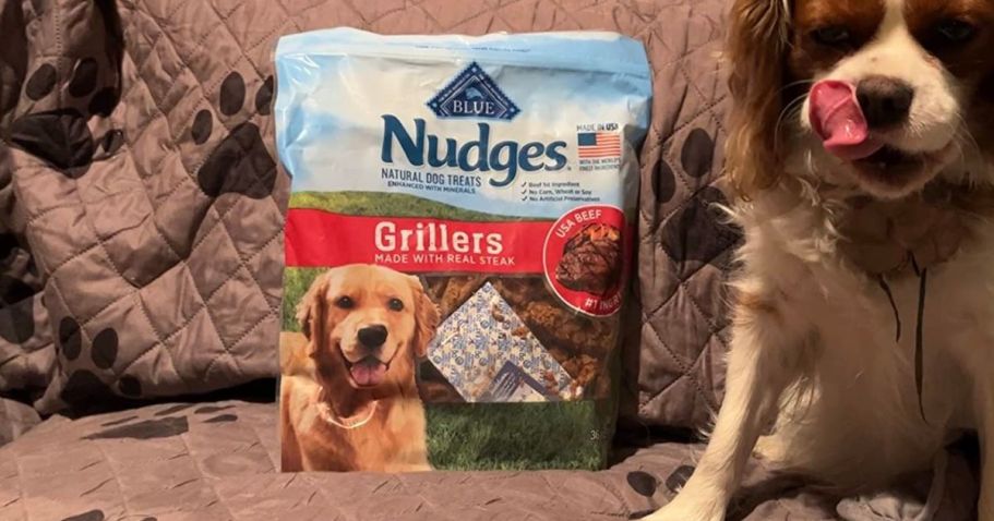 Blue Buffalo Nudges Grillers Dog Treats 36oz Only $12.99 Shipped on Amazon (Reg. $28)