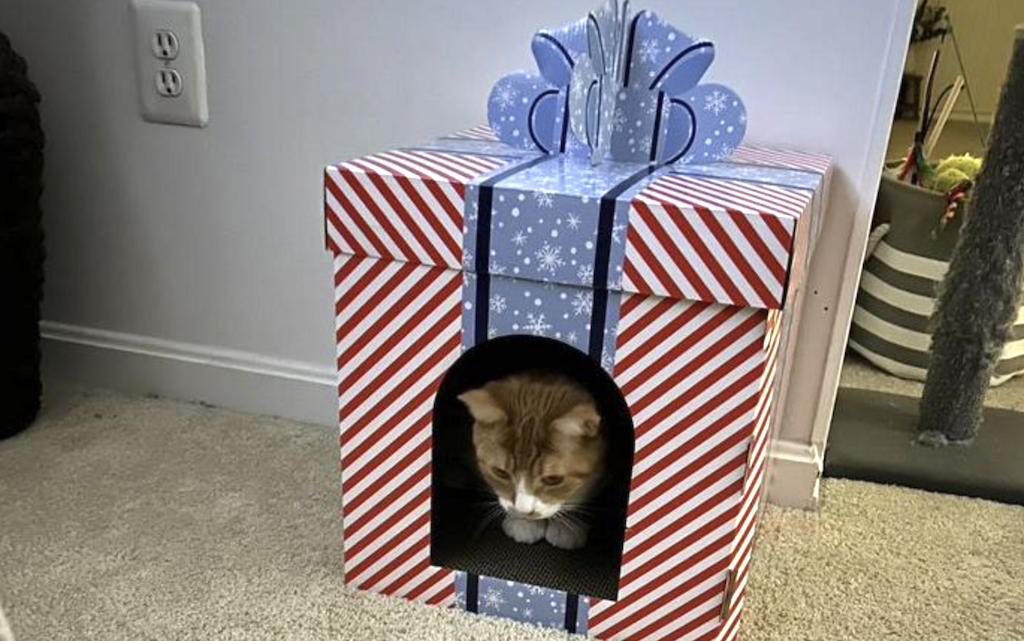 Cat Christmas scratcher house 