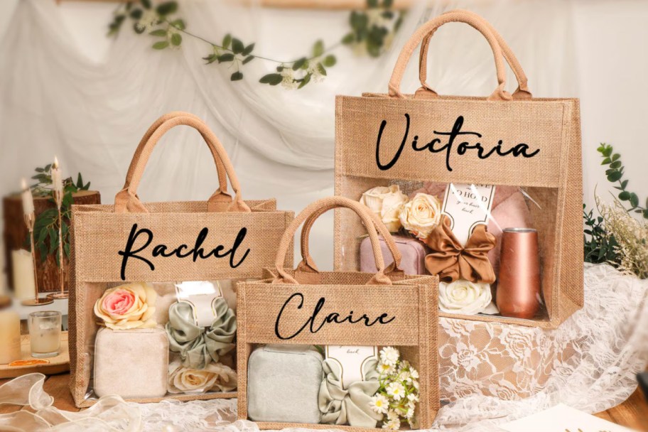 three different size tan and clear tote bags