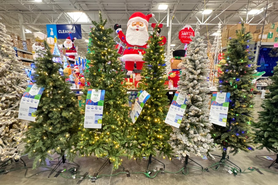 christmas tree in store at lowes