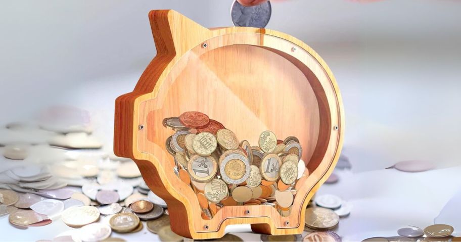 piggy bank being filled with coins