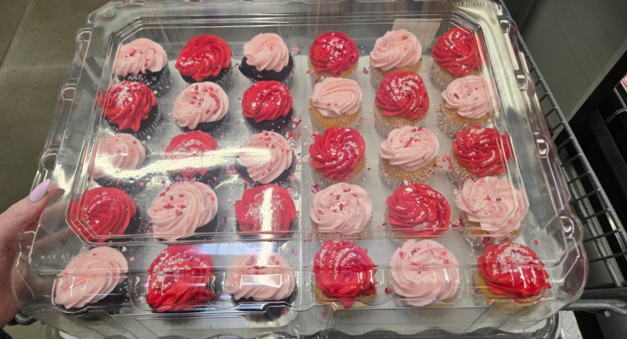 tray of white & chocolate cupcakes