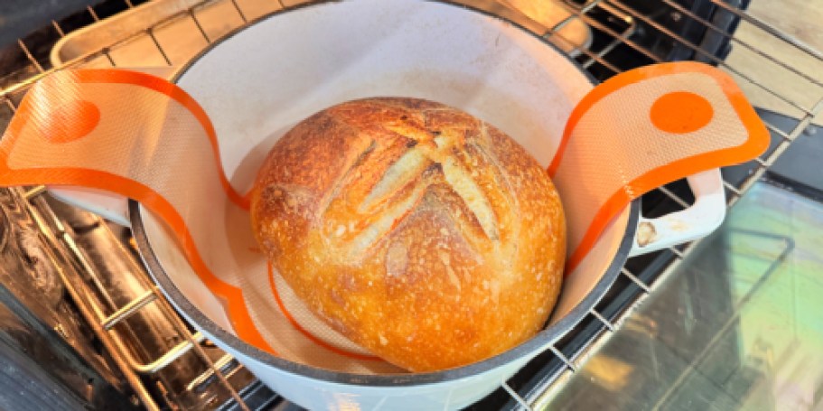 Top 8 Cast Iron Bread Ovens That Cost WAY Less Than Le Creuset