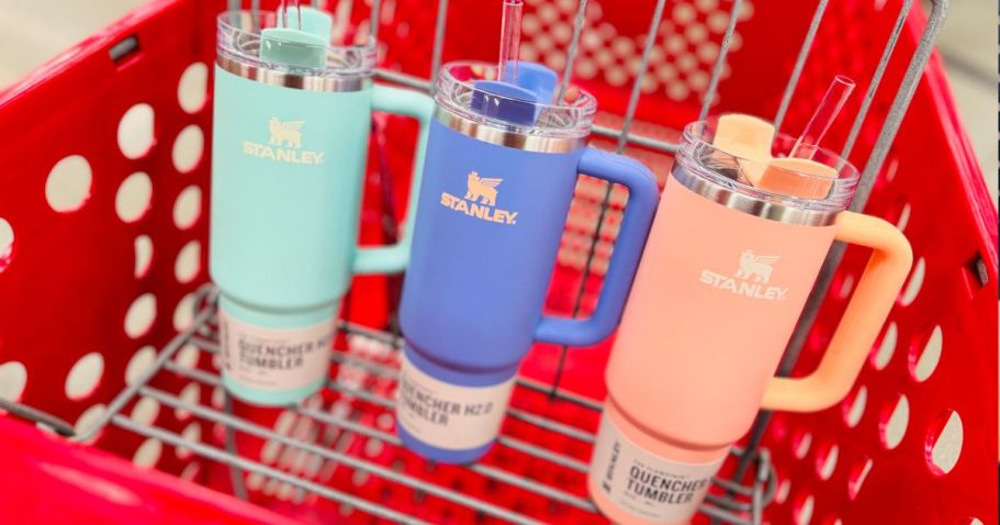 NEW Stanley Tumblers Spotted at Target (We Love the Pastels!)