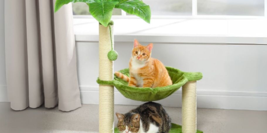 Up to 60% Off Walmart Cat Trees | Palm Cat Tree Only $19.99 (Regularly $50)