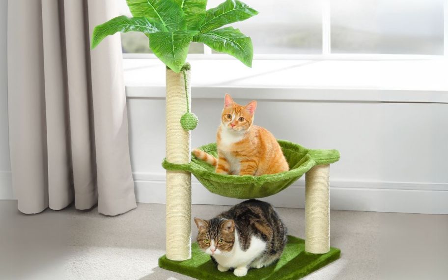 palm tree themed cat tree with 2 cats on it