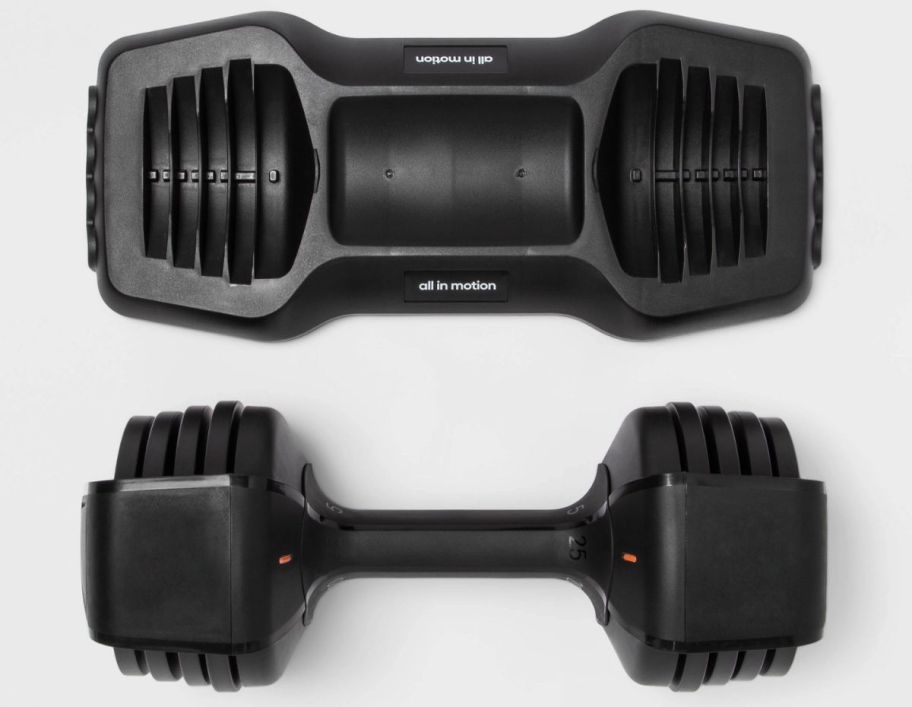 an adjustable dumbbell and stand