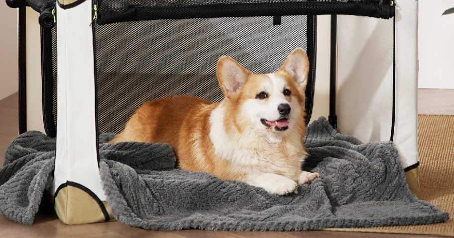 dog laying on a grey blanket inside dog crate