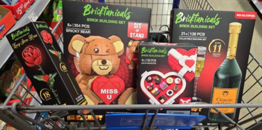 Brickcraft Bricktanicals Valentine’s Sets from $4.97 on Walmart.online (onlinepatible with LEGO!)