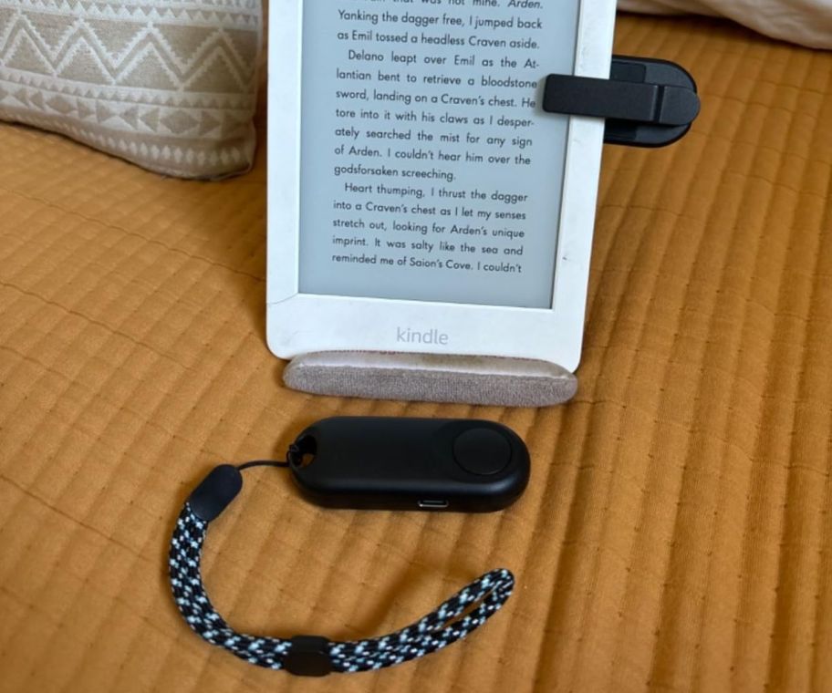 E-Reader Page-Turner with Kindle