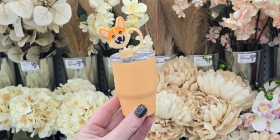 Straw Topper 4-Pack Or Mini Tumblers Just $2.99 at Michaels