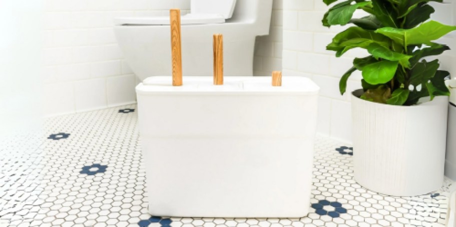 The Home Edit Bathroom Set Just $24.98 on Walmart.online – Includes Brush, Plunger, & Trash Can!