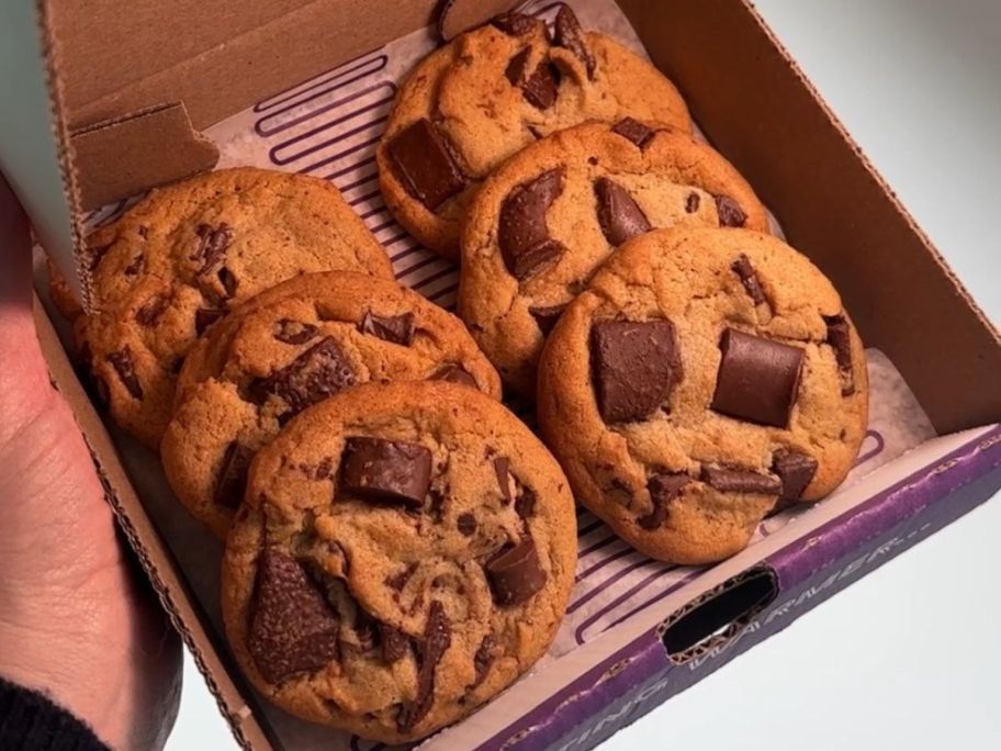 6 Insomnia Chocolate Chunk Cookies