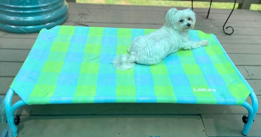 Dog laying on a Le Sure Dog Bed