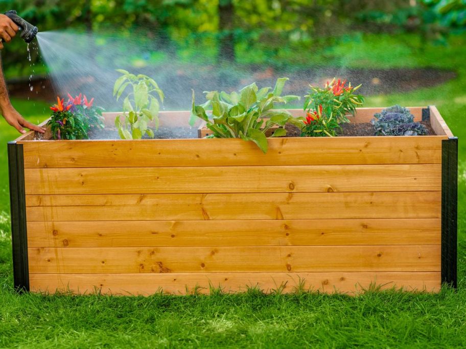 Vita Golden Brown 36" x 60" x 22" Cedar Raised Garden Bed